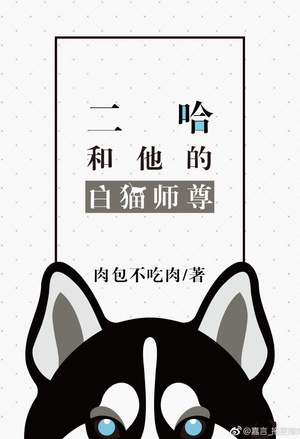 迷踪谍影